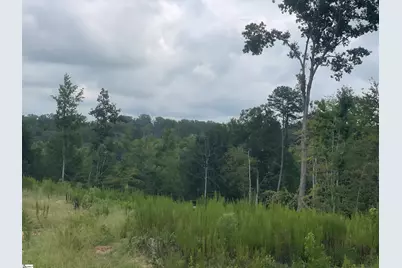 00 Holmes Bridge Road, Laurens, SC 29360 - Photo 6