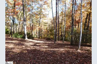 130 Cliffs Falls Parkway, Salem, SC 29676 - Photo 8