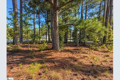 00 W Centennial Street, Clinton, SC 29325 - Photo 1