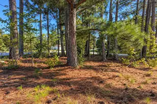 00 W Centennial St, Clinton, SC 29325 - Photo 1