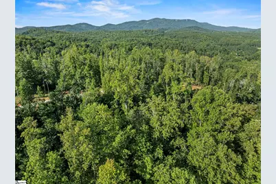625 Chinquapin Road, Travelers Rest, SC 29690 - Photo 14