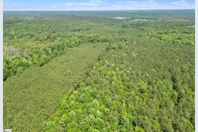 00 Simpson Mill Road, Laurens, SC 29360 - Photo 16