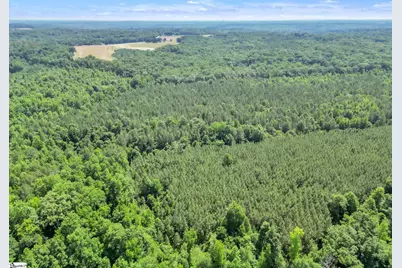 00 Simpson Mill Road, Laurens, SC 29360 - Photo 10