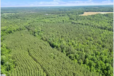 00 Simpson Mill Road, Laurens, SC 29360 - Photo 14