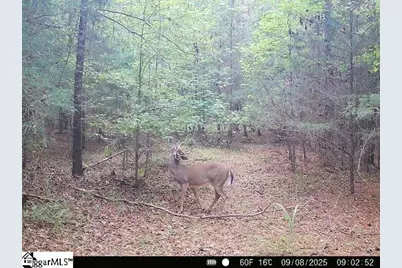 00 Simpson Mill Road, Laurens, SC 29360 - Photo 2