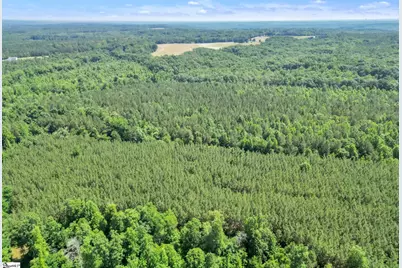 00 Simpson Mill Road, Laurens, SC 29360 - Photo 12
