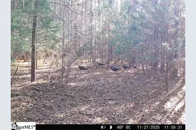 00 Simpson Mill Road, Laurens, SC 29360 - Photo 1