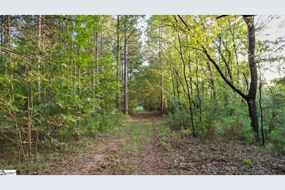 200 Lowe Lane, Inman, SC 29349 - Photo 44