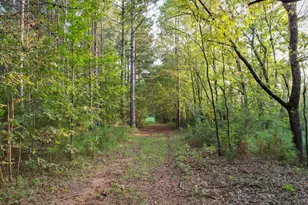 200 Lowe Ln, Inman, SC 29349 - Photo 44