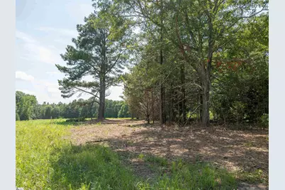 00 Cheek Road #Lot 1, Gray Court, SC 29645 - Photo 10