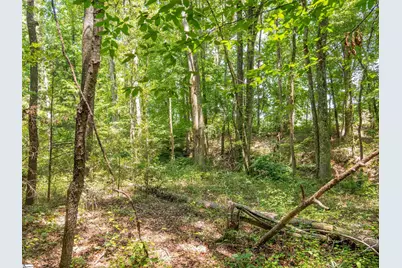 00 Cheek Road #Lot 3, Gray Court, SC 29645 - Photo 20