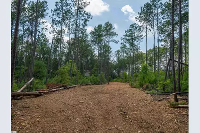 00 Cheek Road #Lot 8, Gray Court, SC 29645 - Photo 10