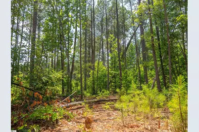 00 Cheek Road #Lot 8, Gray Court, SC 29645 - Photo 20