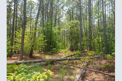 00 Cheek Road #Lot 8, Gray Court, SC 29645 - Photo 22