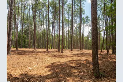00 Cheek Road #Lot 8, Gray Court, SC 29645 - Photo 16