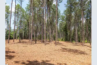 00 Cheek Road #Lot 8, Gray Court, SC 29645 - Photo 18
