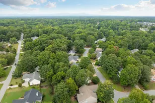 110 Amberjack Ct, Taylors, SC 29687 - Photo 38
