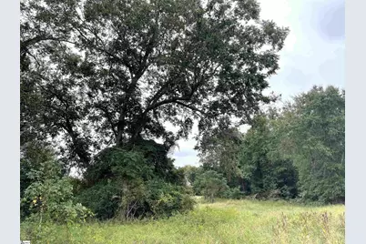 00 Melrosa Lane, Springfield, SC 29146 - Photo 26