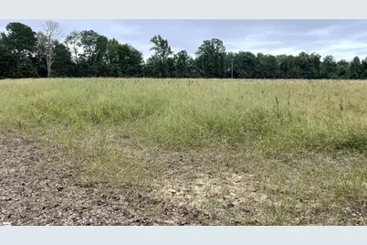 00 Melrosa Lane, Springfield, SC 29146 - Photo 12