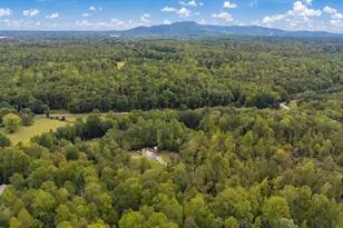 40 McCarrell Rd, Travelers Rest, SC 29690 - Photo 50