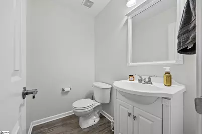 317 Hampton Ridge Drive, Greer, SC 29651 - Photo 12