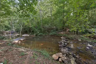 731 Waterbrook Ln, Greer, SC 29651 - Photo 24
