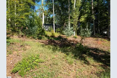 206 Mill Estate Road, Taylors, SC 29687 - Photo 26