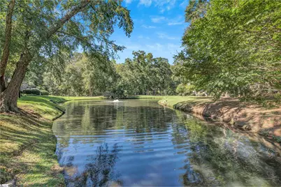 410 Swansgate Place, Greenville, SC 29605 - Photo 24