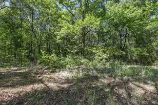 214 2nd St, Greenville, SC 29605 - Photo 6