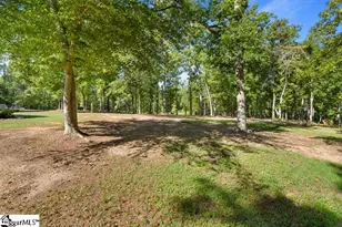 71 Lodgeview Ct, Gray Court, SC 29645 - Photo 38