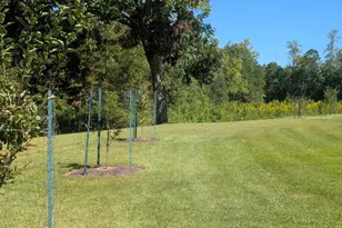 780 Ambler School Rd, Pickens, SC 29671 - Photo 32