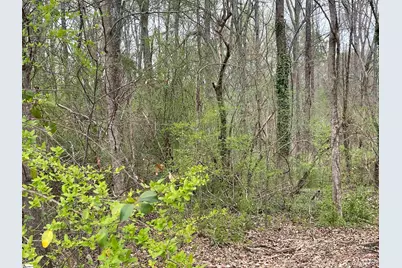 00 Highway 146, Simpsonville, SC 29681 - Photo 2