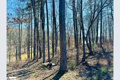 0 Lot 22 Waterside Point, Abbeville, SC 29620 - Photo 6