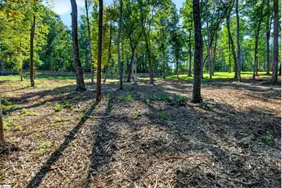 520 Chinquapin Road, Travelers Rest, SC 29690 - Photo 8