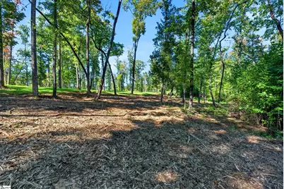 540 Chinquapin Road, Travelers Rest, SC 29690 - Photo 10