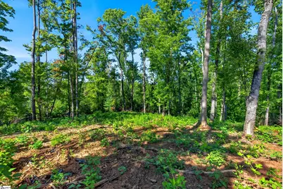 540 Chinquapin Road, Travelers Rest, SC 29690 - Photo 14