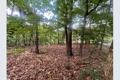 0 Craig Lane Lot #1, Salem, SC 29676 - Photo 4