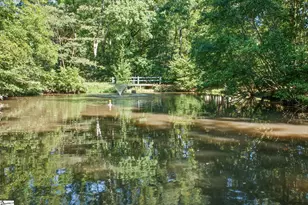 101 Treetops Ct, Greer, SC 29650 - Photo 46