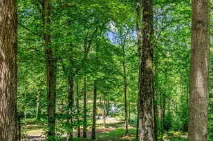 980 Mountain Forest Dr, Union Mills, NC 28167 - Photo 36