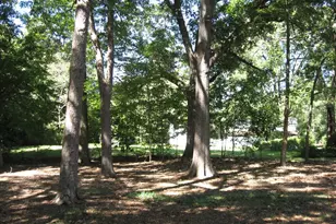 102 Oakland Ave, Simpsonville, SC 29681 - Photo 20