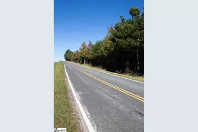 00 Hwy 101 N Highway, Gray Court, SC 29645 - Photo 6