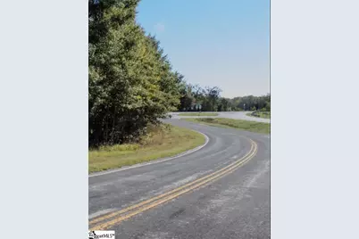 00 Hwy 101 N Highway, Gray Court, SC 29645 - Photo 4