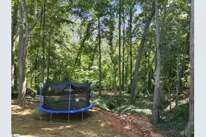 401 Sugar Creek Lane, Greer, SC 29650 - Photo 36