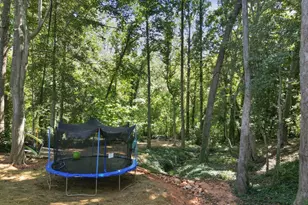 401 Sugar Creek Ln, Greer, SC 29650 - Photo 36
