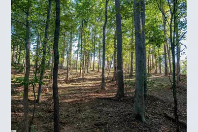 0 Woodall Road #Lot A, Greenville, SC 29617 - Photo 8