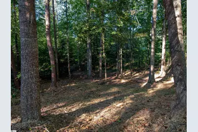 0 Woodall Road #Lot A, Greenville, SC 29617 - Photo 6