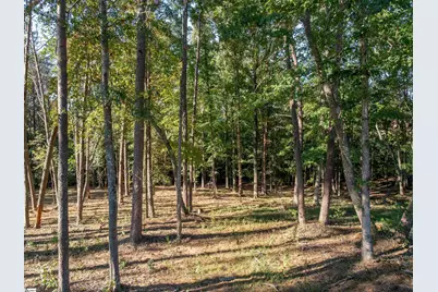 0 Woodall Road #Lot A, Greenville, SC 29617 - Photo 4