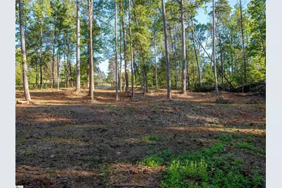 0 Woodall Road #Lot B, Greenville, SC 29617 - Photo 8