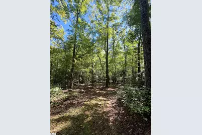 1100 Tugaloo Road, Landrum, SC 29356 - Photo 10