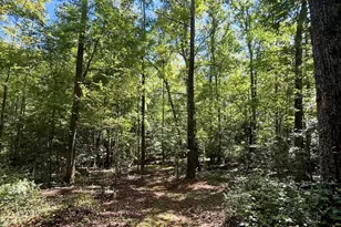 1100 Tugaloo Rd, Landrum, SC 29356 - Photo 10